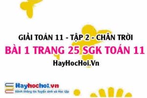Bài 1 trang 25 Toán 11 tập 2 Chân trời sáng tạo
